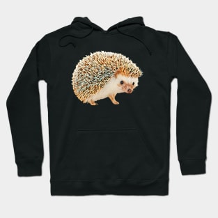 Hedgehog - Woodland Themed Kids Room, Funny Gifts For Forester, Cute Anima Hoodie